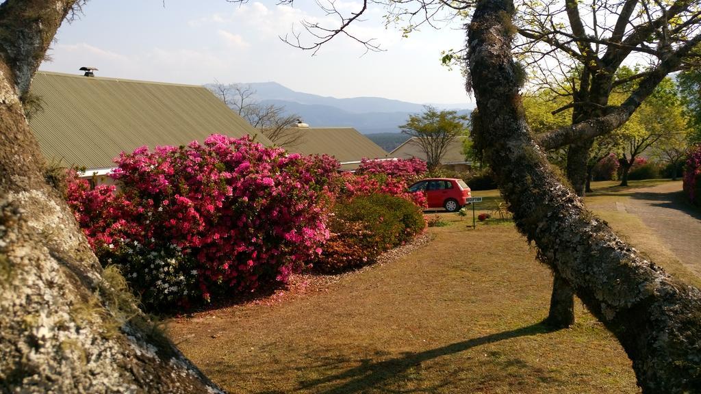 גרסקופ Kloofsig Holiday Cottages מראה חיצוני תמונה